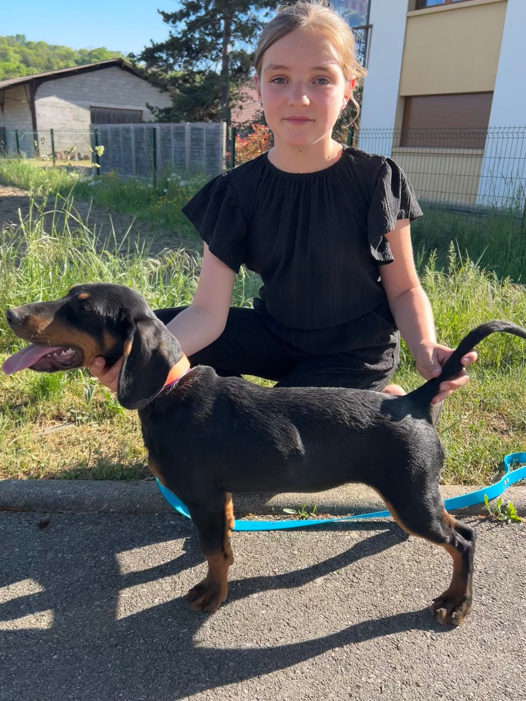 Alpine De La Cierna Zviera